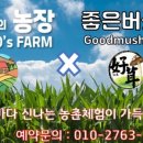 쌈바농장 이미지