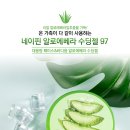 네이핀