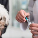 열린동물약국 이미지