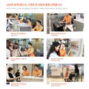 지상에이치알 | [JAS 지상 조업 채용]JAS 지상조업 1:1 면접 코칭 후기!