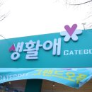 생활애
