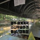 소나무숲아래 | [충주] 소나무숲아래 - 송계계곡 당일치기 평상 빌릴 수 있는 곳 / 캠핑장