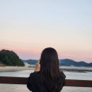 홍성남당항 대하축제, 아영수산 대하전어 배터지게 구입한 후기