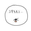 프리미엄비즈 이미지