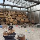 대동정비 | 김해 대동 카페대동숲 모래놀이가능한 신상카페 솔직후기