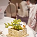 나의 작은 정원-홈 가드닝 | 힐링 기업교육 : 미니가든 메이킹, 자연과 함께하는 가드닝 클래스 프로그램