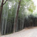 샘골낚시터 | 전라도정자詩로 만난 인물-이하곤(李夏坤)3