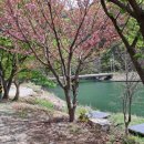 화악산장 이미지