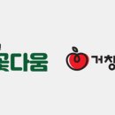 꽃다움 이미지