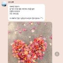 꽁냥파파