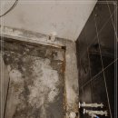 정발산로 이미지