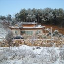 김을환농장 이미지