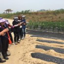 국립농산물품질관리원 충남지원 아산사무소 이미지