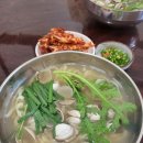 금불사 칼국수 이미지