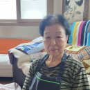 세진베이커리 이미지