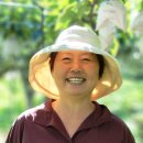 배가농원 이미지