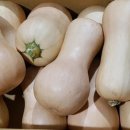 뚱이농장 이미지