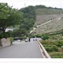 낙원공원매점 이미지
