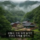 만기사 - 1147 | 성혈사, 고요 속에 숨겨진 천년의 지혜를 찾아서…