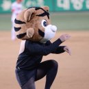 호돌이크리닝 이미지