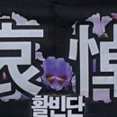 고려영화사 이미지