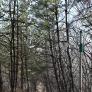 덕동마을회관 이미지