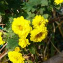 기장군청 맞은편 | 해파랑길 3코스 (1) 대변항~일광도서관