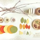 퍼플오렌지올리브나무 이미지