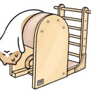 홍쌤스포츠 이미지