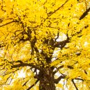 광희동 주민센터 강당(5층) 이미지