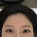 테일디뷰티
