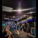 메이져 복싱 이미지