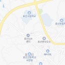 팅커벨강아지미용실