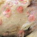 창원메디컬동물병원 이미지