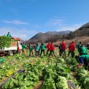 뽑기사랑 이미지