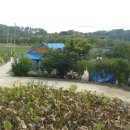 덕계2길 이미지