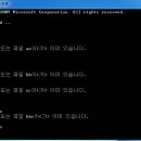 도스(DOS)