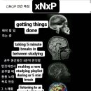 MBTI 검사에서 *N*P 나오는 놈들 특징.jpg 이미지