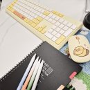아른 | 그라데이션 컬러 예쁜 볼펜 추천 공부용 다이어리용 아른 0.5 볼펜 후기