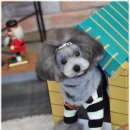 몽슈 이미지