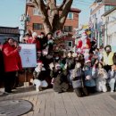 서울신창초등학교 이미지