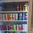 캣카페 낭만고양이 이미지