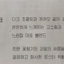 조금느린집 이미지