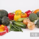 가락동농산물 이미지