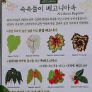 서울식물원 7번째 이미지