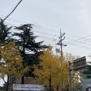 남구 대연동 부경대 쌀국수 맛집 추천, 포앤스마일 락사 솔직후기