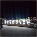 양산 황산공원 빛축제 불빛정원 직접 다녀온 후기