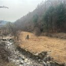 수원-0272 Daum카페