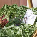 이동균 농장 이미지