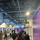 2024 마켓컬리 푸드페스타 주말 토요일 오전 방문 후기 (11시15분 도착)